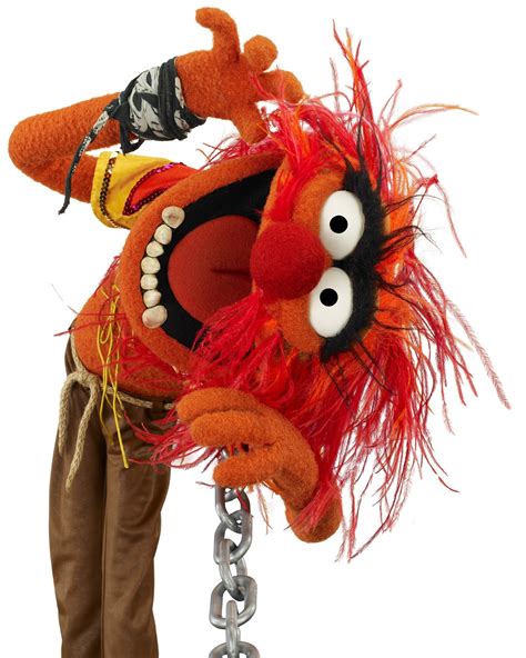 Animal from the muppets - Muppet Wiki. in: Disambiguation. Dog. This is a disambiguation page — a list of articles associated with the same title. Dog The Tale of the Bunny Picnic. Dog Jim Henson's The Storyteller. Dog Living with Dinosaurs. Dawg the Dog Sesame Street.